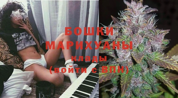 шишки Касимов