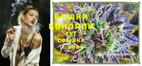 шишки Касимов